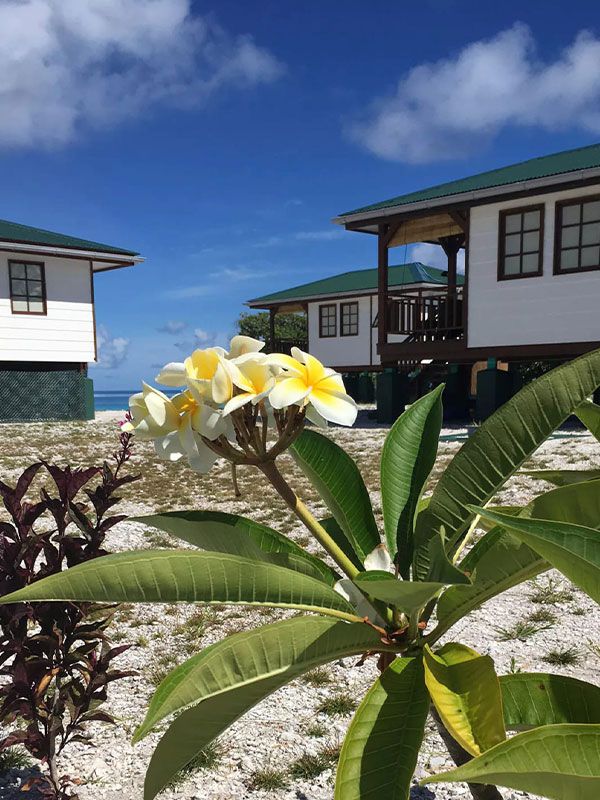 Fafapiti Lodge Fakarava